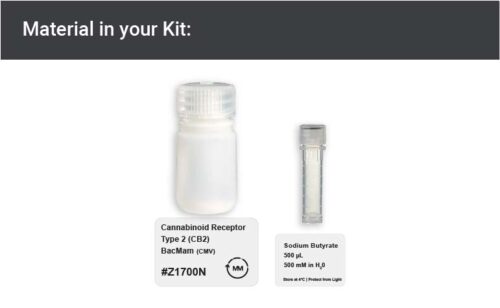 Image showing kit materials for an CB2 receptor expression kit