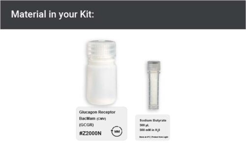 Image showing kit materials for an GCGR expression kit