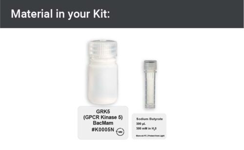 Image showing Kit materials for a GRK5 expression vector