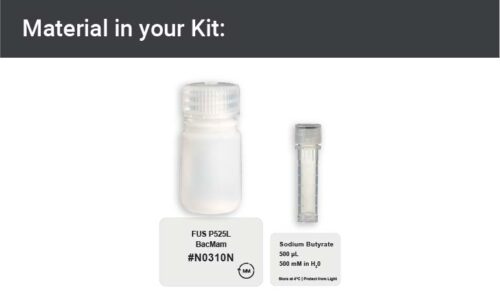 Image showing kit materials for an FUS P525L expression kit