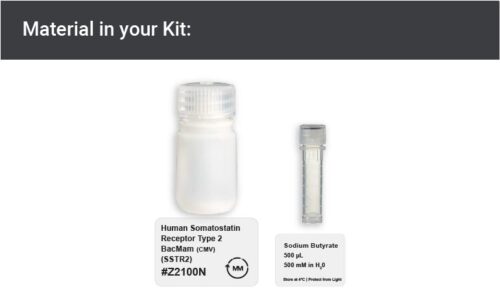 Image showing kit materials for Human SSTR2 expression kit