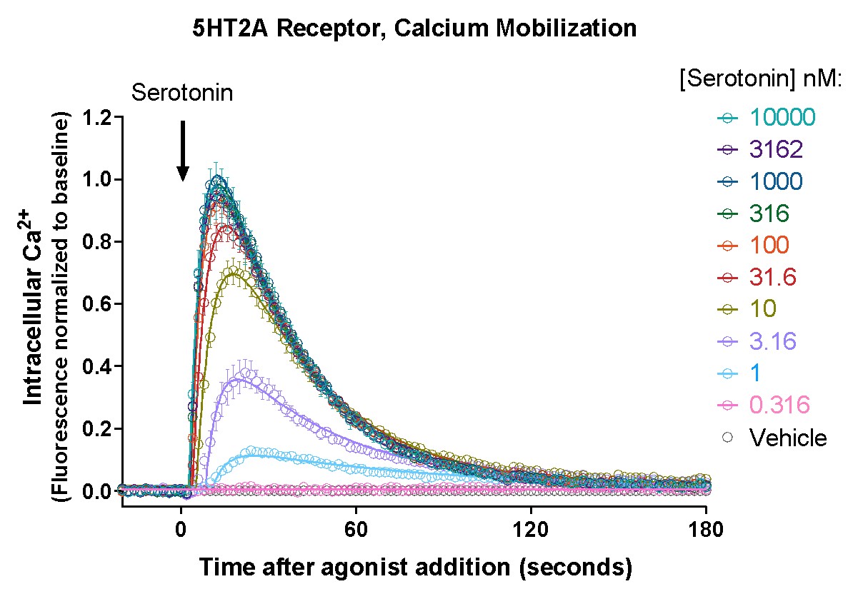 5HT2A receptor calcium signaling captured with the GECO calcium biosensor