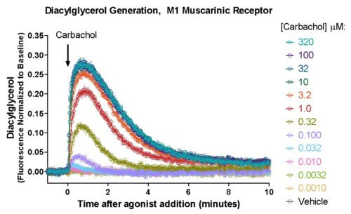 M1 Muscarinic receptor DAG signaling captured with Montana Molecular's DAG biosensor