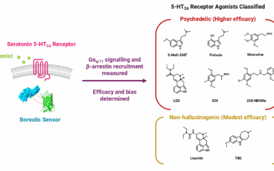 Psychedelic Drug Actions at Serotonin Receptors and the Path Towards Safer Treatments for Mental Disorders