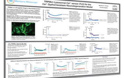 Society for Neuroscience 2025