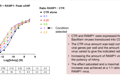 Calcitonin family receptor cAMP assays